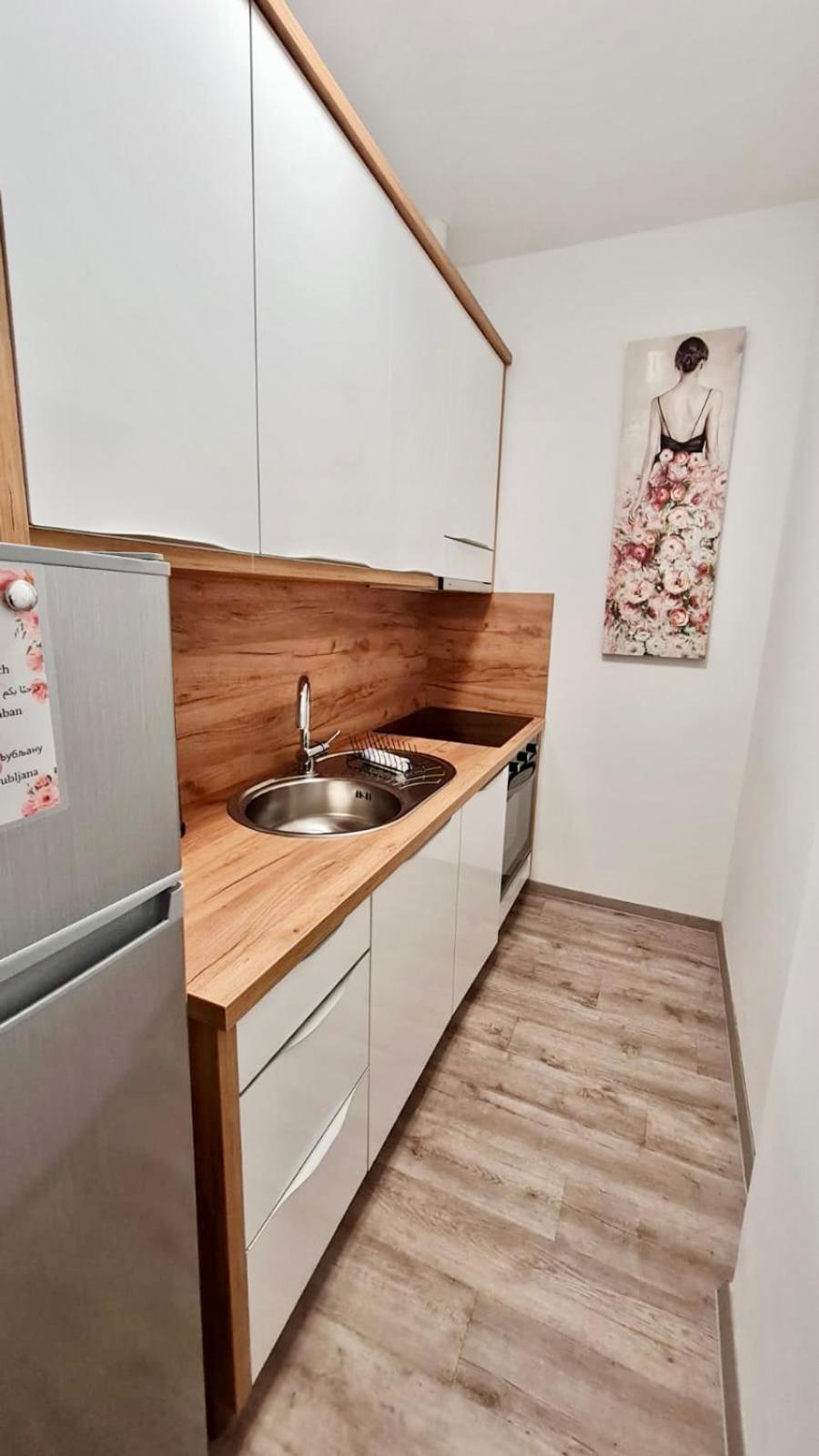 Ljubljana Central Lux Apartment With Free Parking ภายนอก รูปภาพ